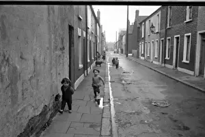 Dog and children in a street, Belfast, Northern Ireland