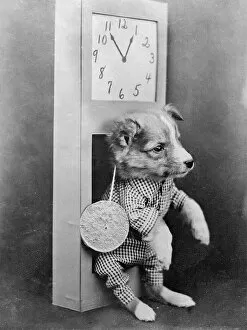 Images Dated 29th March 2012: Dog with Clock