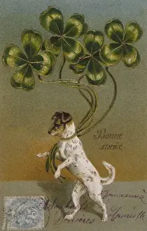 Dog and Clover
