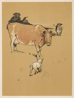 Dog and Cow in Field
