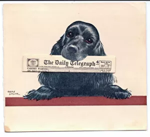 Daily Gallery: Dog with Daily Telegraph newspaper on a greetings card