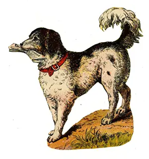 Dog delivering the Times Newspaper -19th century scrap