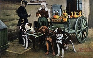 Images Dated 30th December 2015: Dog-drawn Milk Cart - Brussels, Belgium