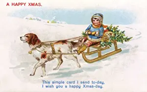Dog-Drawn Sleigh
