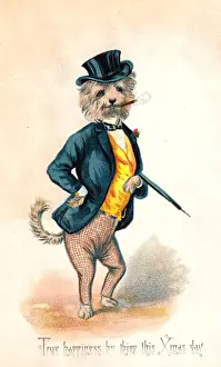 Buttonhole Prints: Dog dressed as a man-about-town on a Christmas card