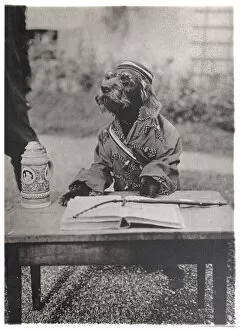 Accompanies Gallery: Dog Dressed as Student