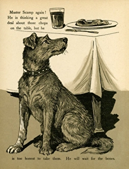Images Dated 25th July 2011: Dog and Food Smells