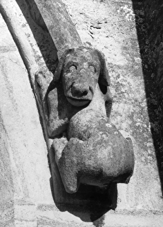 Images Dated 16th June 2011: Dog Gargoyle