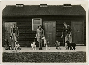 Three dog handlers with six dogs in front of stables