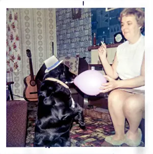 Dog with a hat and balloon in a 1970s living room