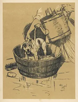 Uncomfortable Prints: Dog having Bath Aldin
