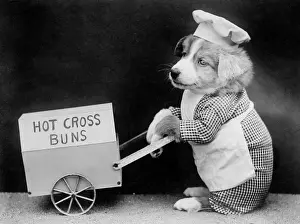 Buns Prints: Dog Hot Cross Bun Seller