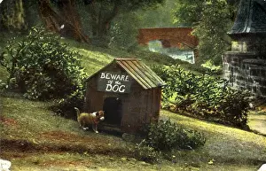 Kennel Prints: Dog & Kennel