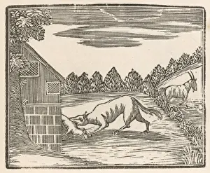 Dog and Kid