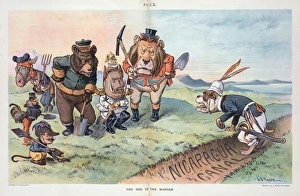 Manger Gallery: The dog in the manger