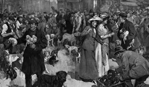 Images Dated 11th February 2016: Dog Market, London