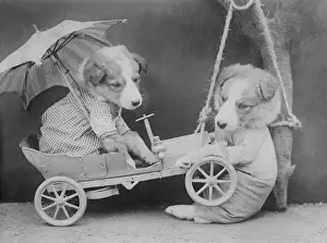Client Prints: Dog Mechanic