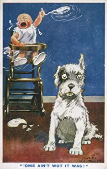 Ain T Gallery: Dog and New Baby