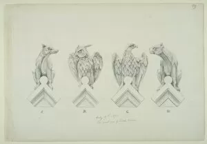 Accipitridae Gallery: Dog, owl and eagle design