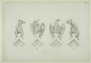 Accipitridae Gallery: Dog, owl and eagle design