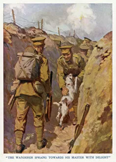 WWI Animals Gallery: Dog and owner reunited in the trenches, France