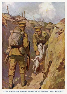 Trench Collection: Dog and owner reunited in the trenches, France
