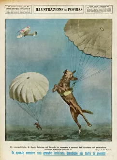 Catherine Gallery: Dog Parachutist