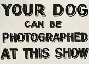 Signage Collection: Your dog can be photographed sign