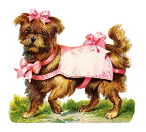 Dog with pink ribbons on a Victorian scrap