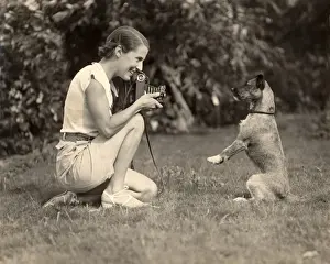 Begging Prints: Dog poses for the camera