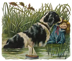 Rescues Prints: Dog Saves Boy