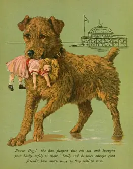 Saves Prints: Dog Saves Doll from Sea