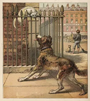 Dog Scaring Cat