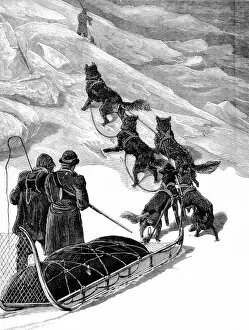 Images Dated 16th August 2004: A Dog Sledge of the British Arctic Expedition, 1875-1876