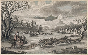 Dog Sleigh Kamchatka Dog Sleigh Kamchatka