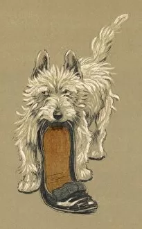 Dogs Collection: Dog with Slipper / Aldin