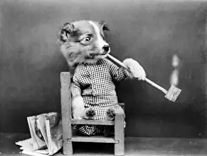 Dog Smoking a Long Pipe