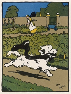 Annoying Gallery: Dog Steals Scarf Aldin