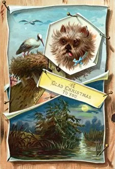 Nesting Collection: Dog, stork on nest and moonlight scene on a Christmas card