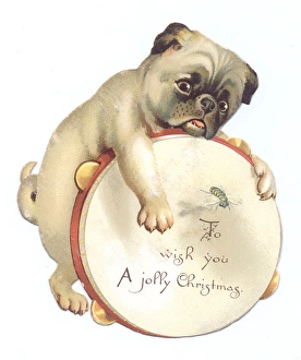 Victorian and Edwardian Christmas Cards Gallery: Dog with tambourine on a cutout Christmas card