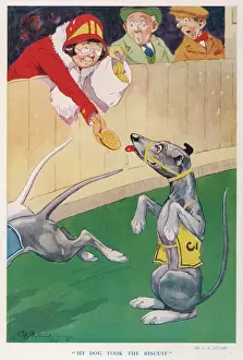 Greyhound Prints: My Dog Took the Biscuit by G. E. Studdy