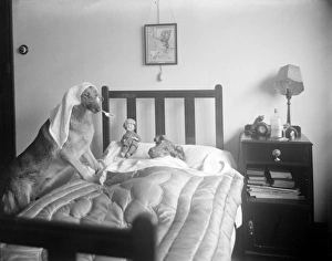 Images Dated 30th March 2012: Dog-Tor and Patient