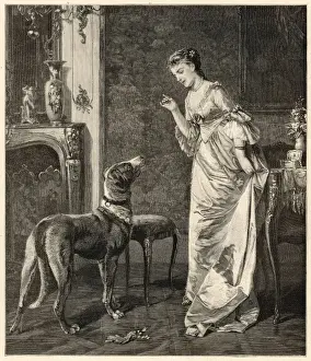 Dog Training