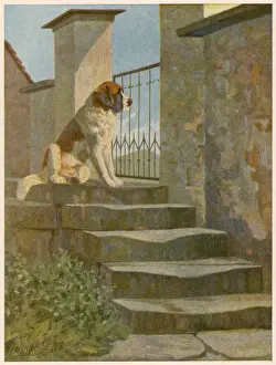 Patience Prints: Dog Waiting