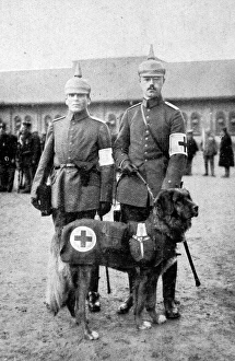 Images Dated 18th April 2004: The Dog in War