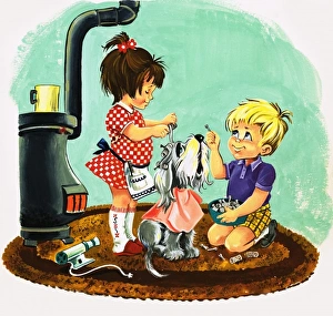Images Dated 29th November 2007: Dog being washed