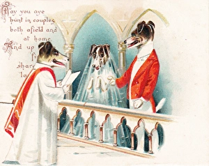 Vestments Gallery: Dog wedding in a church