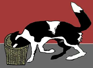 Dogbasket