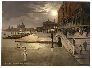Doges Palace and St. Marks by moonlight, Venice, Italy