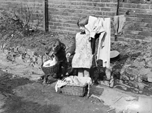 Doggy does Laundry